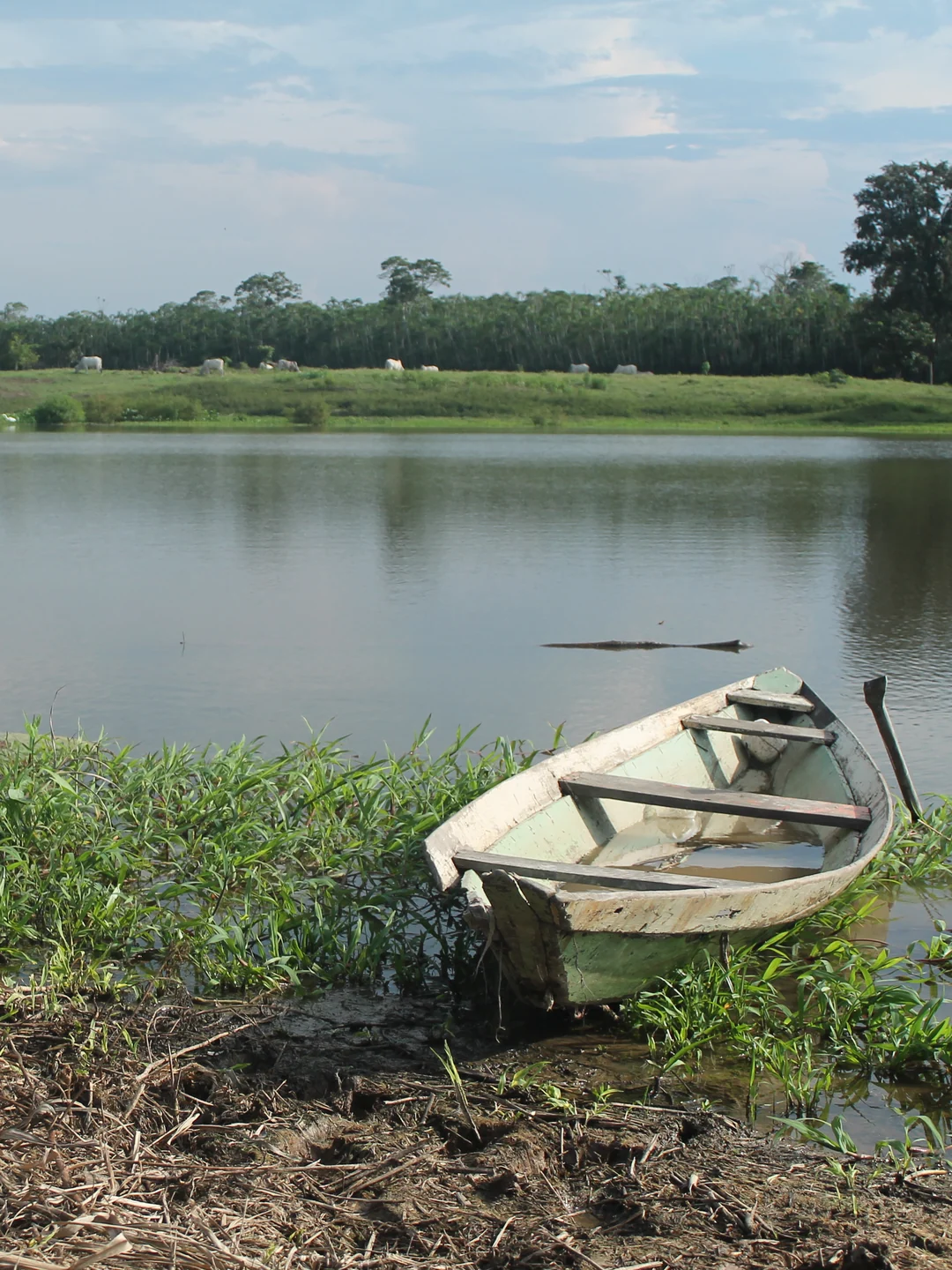 Amazonas em emergência pela seca