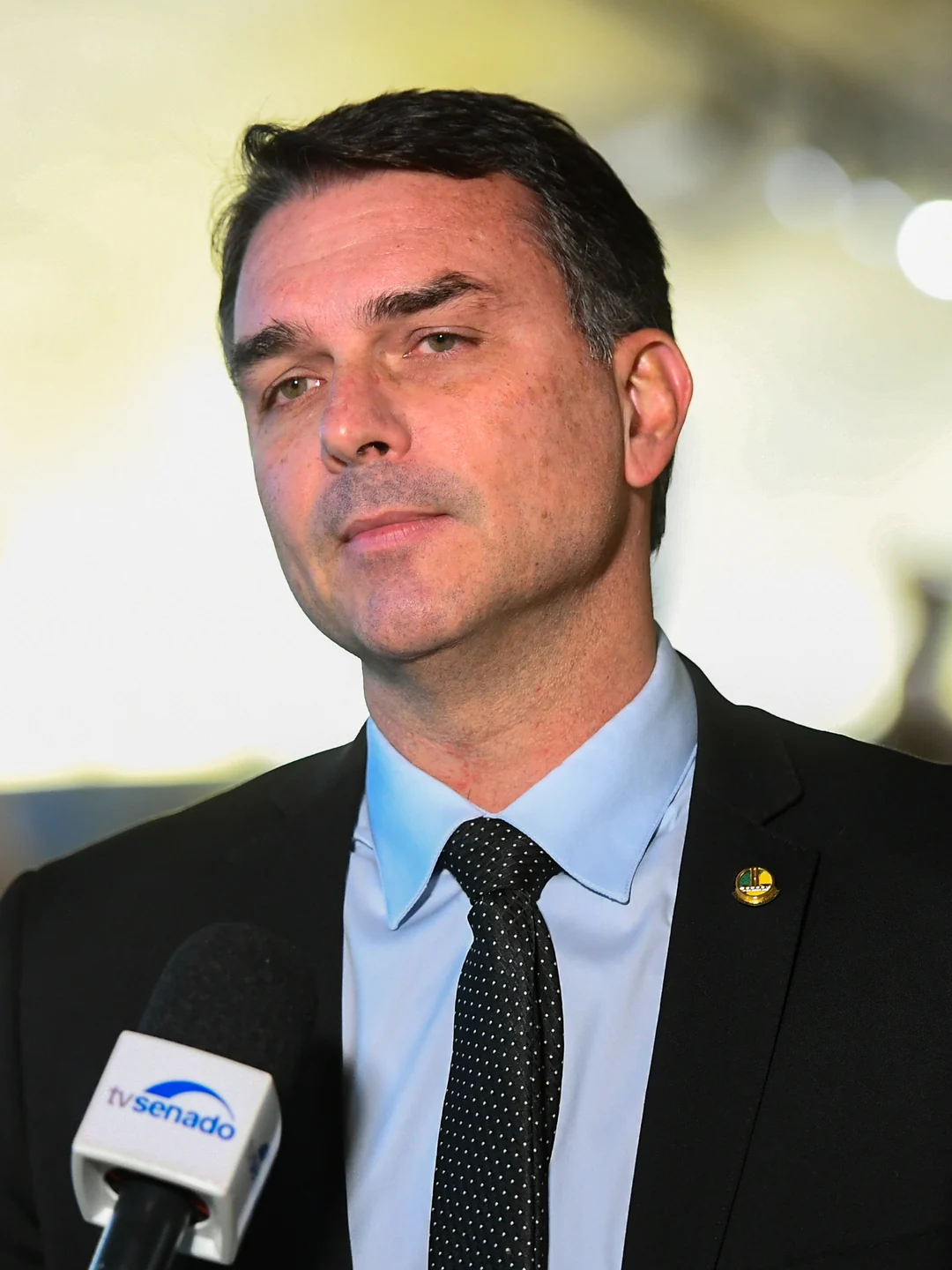 Plano de Flávio Bolsonaro: 22 mudanças